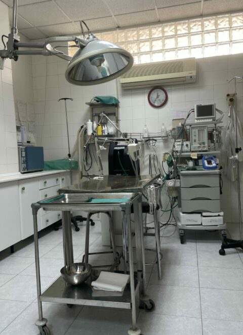 CLÍNCA VETERINARIA COMARCAL INSTALACIONES 5