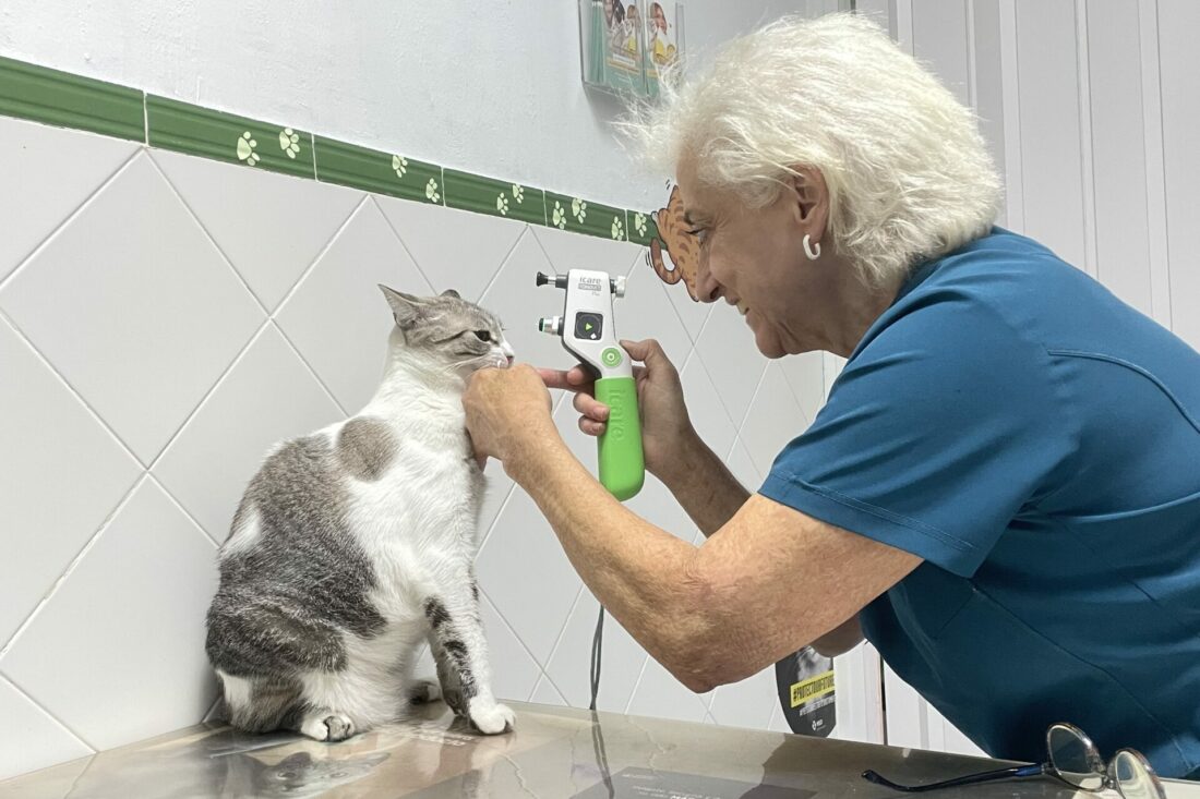 CLÍNCA VETERINARIA COMARCAL SERVICIOS