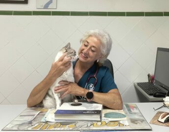 Mª CARMEN LÓPEZ CARPIO