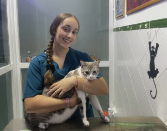 CARMEN CABRERA MORILLO