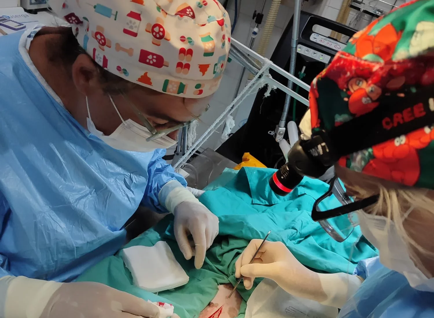 ESPECIALISTA VETERINARIA